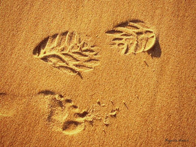 beachfootprints2